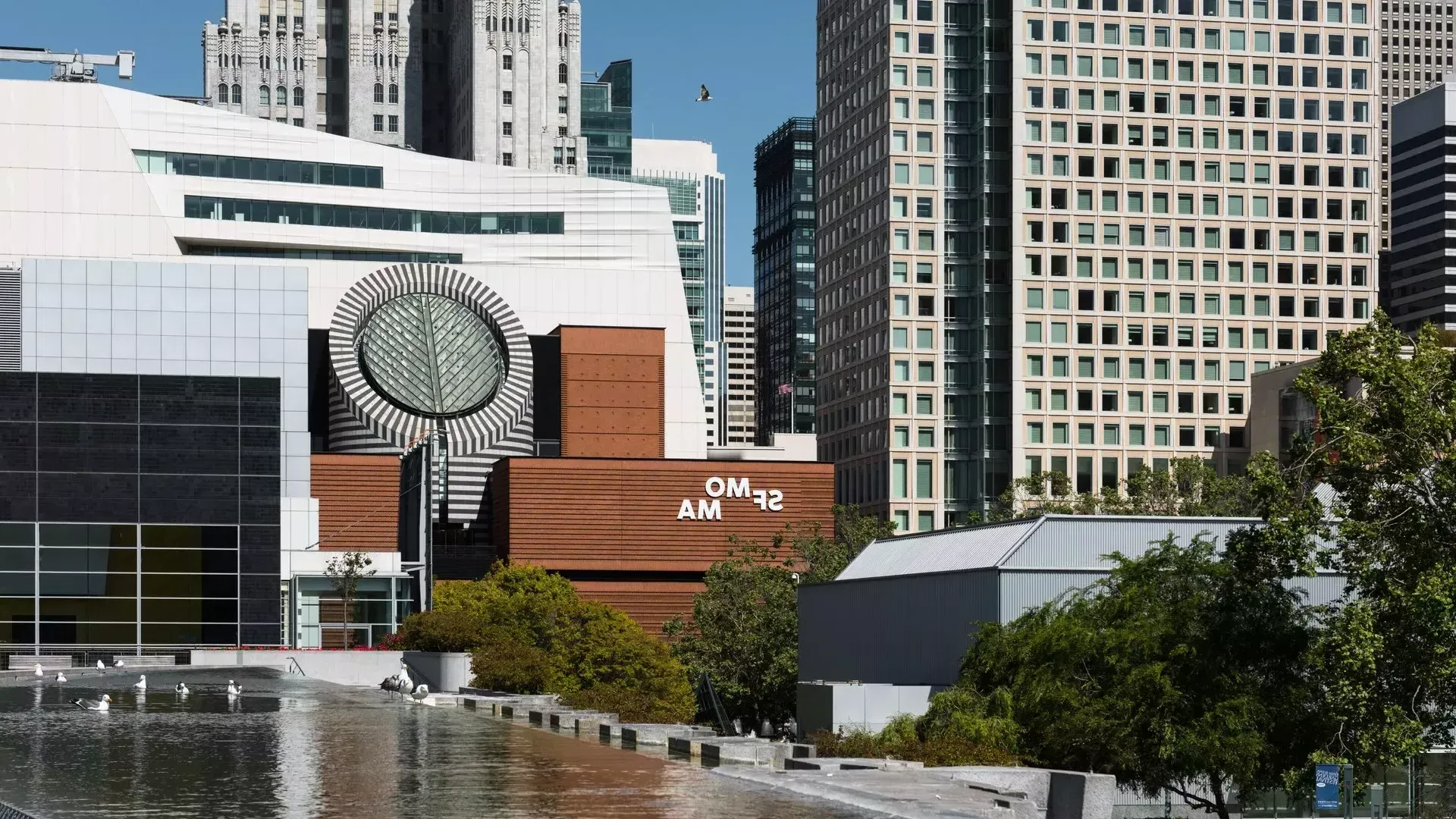 在芳草地花园旁边的SFMOMA